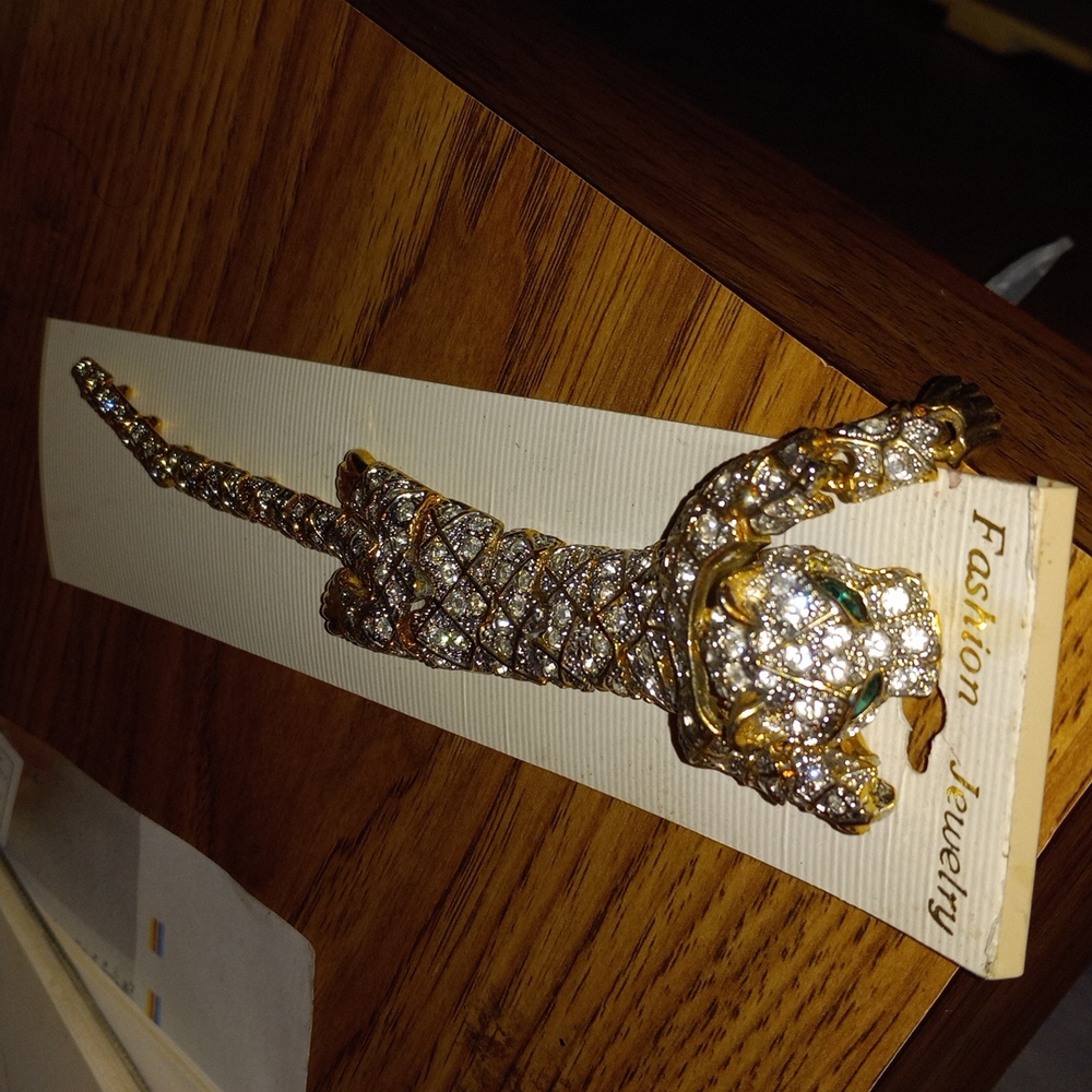 Expensive luxury clothing pin 📌 brooch